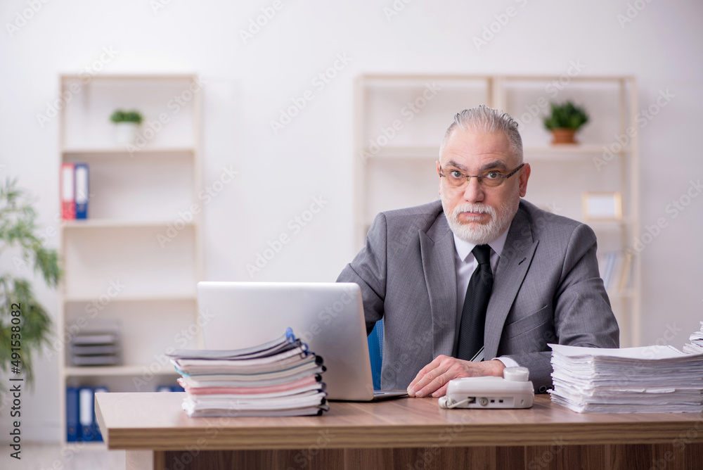 Old male employee working in the office Old male employee working in the office