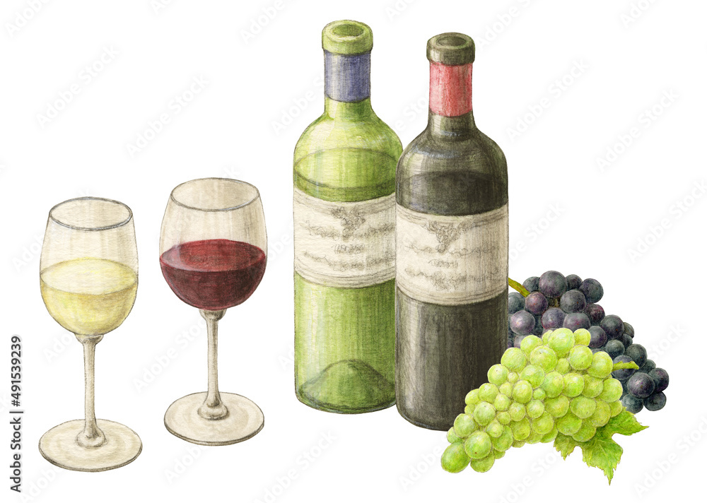 Fototapeta premium ワインとブドウ 手描き