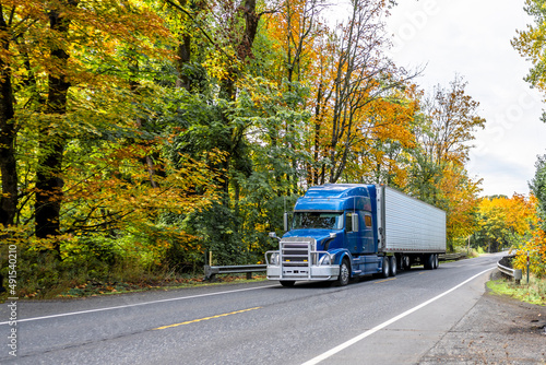 Bright blue big rig semi truck with refrigerator semi trailer transporting cargo running on the autumn winding road with yellow forest © vit
