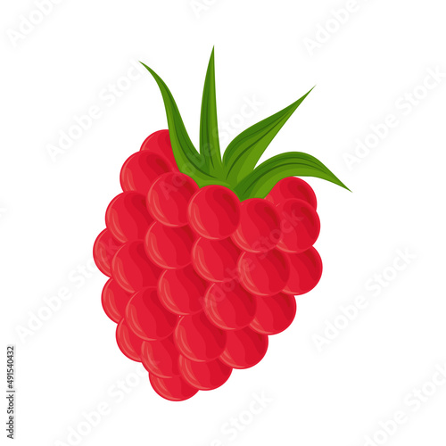 raspberry fruit icon