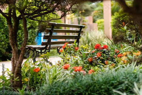Empty bench on a green garden