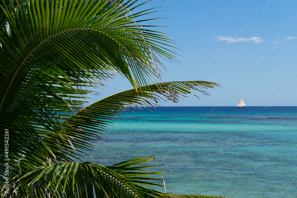 Sailboat passing by a pristine tropical beach, Mexican Caribbean