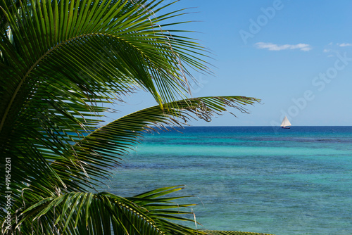 Sailboat passing by a pristine tropical beach  Mexican Caribbean