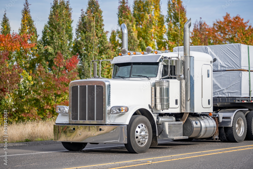 Powerful big rig semi truck tractor with high exhaust pipes and truck driver sleeping compartment transporting covered cargo on flat bed semi trailer running on the road with autumn trees on the side