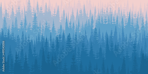 Coniferous forest in the morning haze, vector landscape, natural background 