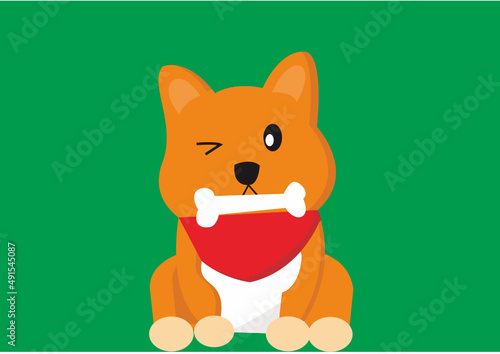 Shiba Inu