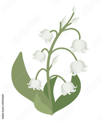 white flowers and leaves