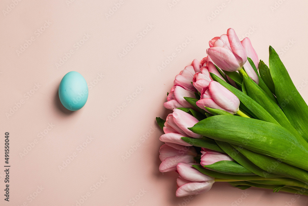 easter greeting card concept. bouquet of pink tulips with blue egs on pink backround. Easter background. flat lay with copyspace