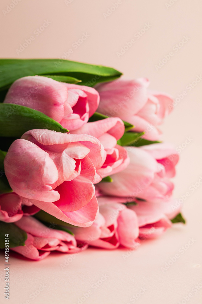 Fototapeta premium bouquet of pink tulips on pink background. top view with copyspace. greeting card concept