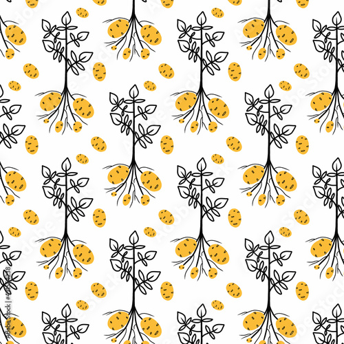Seamless pattern with potato tubers. Pattern with potatoes. Vector pattern in doodle style.