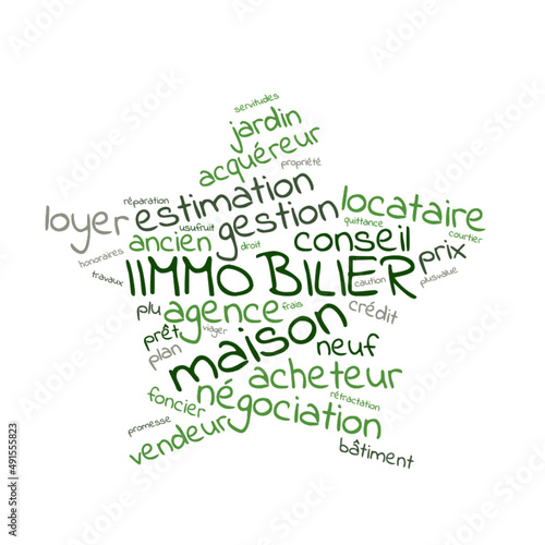 Illustration Immobilier en nuage de mots avec un fond transparent