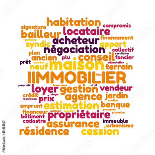 Illustration Immobilier en nuage de mots avec un fond transparent