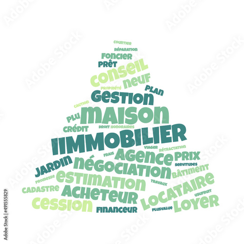 Illustration Immobilier en nuage de mots avec un fond transparent