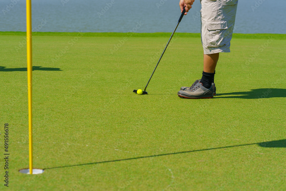 Obraz premium Golfer preparing for a putt Golf ball on the green during golfcourse