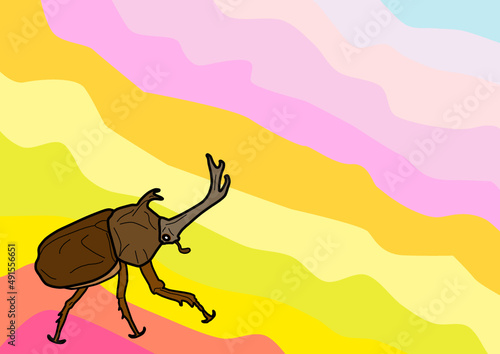 幾何学的なカブトムシ模様