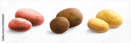 Realistic Potato Types Set