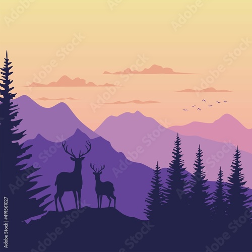 deer in the mountains