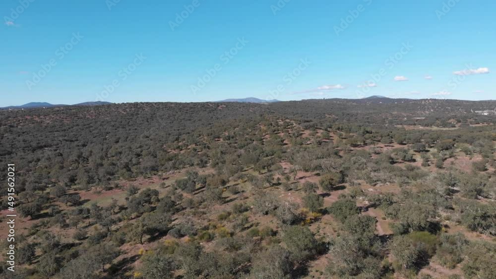 Aerial images flying over a Mediterranean forest in southern Spain on a sunny day. The forest is lost in the blue horizon. Aerial images flying over a Mediterranean forest in southern Spain on a sunny day. The forest is lost in the blue horizon.