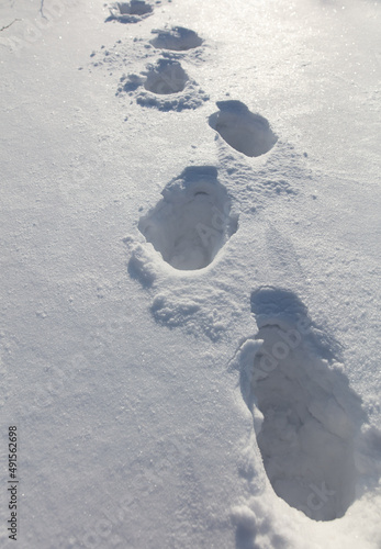 Human footprints in the snow as background.