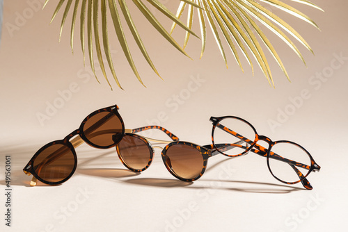 Trendy sunglasses of different design and eyeglasses on beige background with golden palm leaf. Copy space. Sunglasses and spectacles sale concept. Optic shop promotion banner. Eyewear fashion