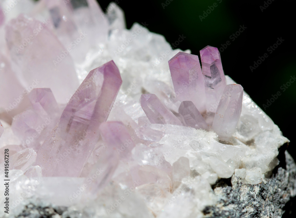 Fototapeta premium .amethyst mineral specimen stone rock geology gem crystal