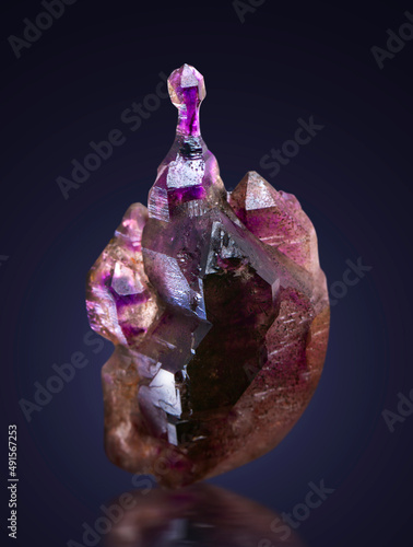 Принти на полотні .amethyst mineral specimen stone rock geology gem crystal