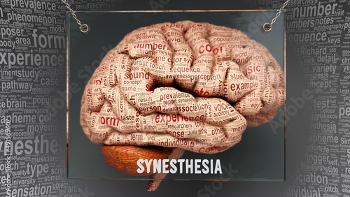 Synesthesia anatomy - its causes and effects projected on a human brain revealing Synesthesia complexity and relation to human mind. Concept art, 3d illustration photo