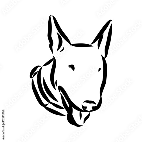 Bull terrier  bull terrier funny face  black and white vector illustration