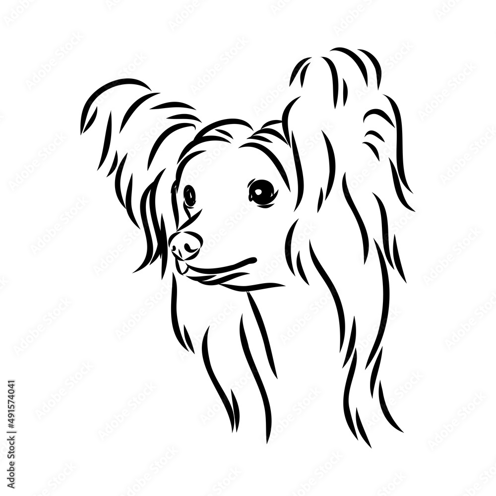 Decorative portrait of standing in profile Chinese Crested Dog, vector isolated illustration in black color on white background Decorative portrait of standing in profile Chinese Crested Dog, vector isolated illustration in black color on white background