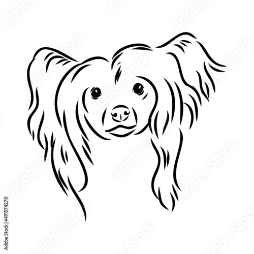 Decorative portrait of standing in profile Chinese Crested Dog, vector isolated illustration in black color on white background