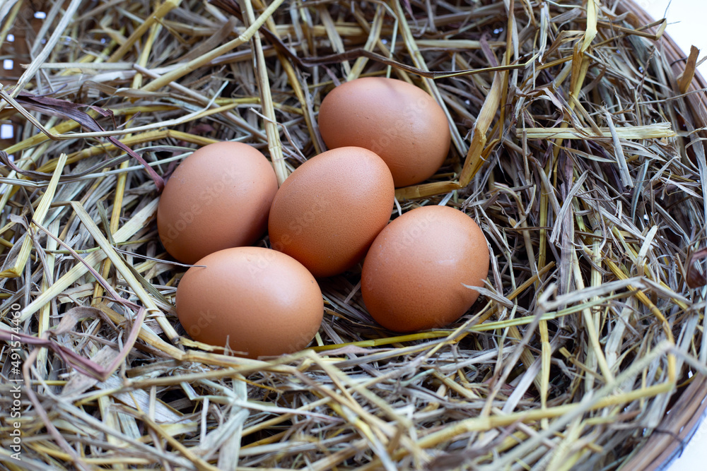 Fresh organic eggs in a straw nest