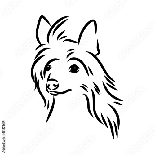 Decorative portrait of standing in profile Chinese Crested Dog  vector isolated illustration in black color on white background
