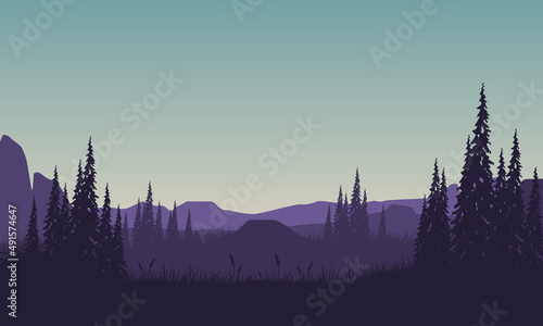 Aesthetic mountain view with pine trees from the edge of the countryside