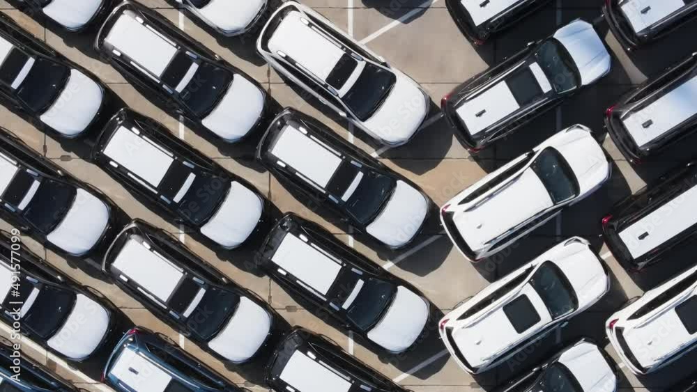 Market of new cars in Vladivostok. Customs cleared cars in the port. View from above. New cars. Market of new cars in Vladivostok. Customs cleared cars in the port. View from above. New cars.