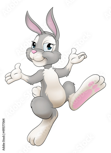 Easter Bunny Cartoon Rabbit...
