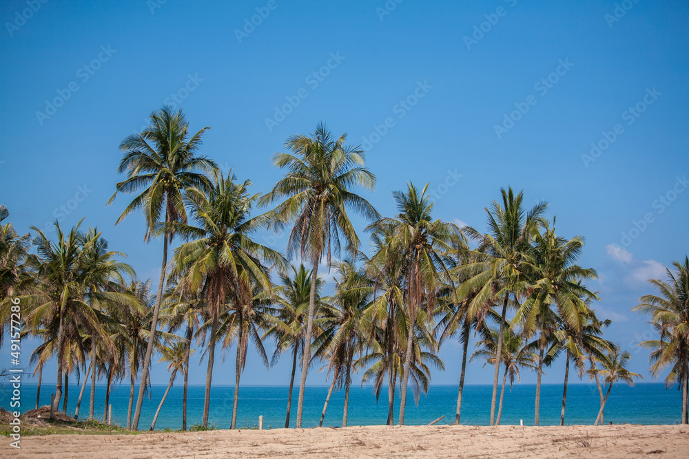 Obraz premium Palm trees on the beach in Thailand