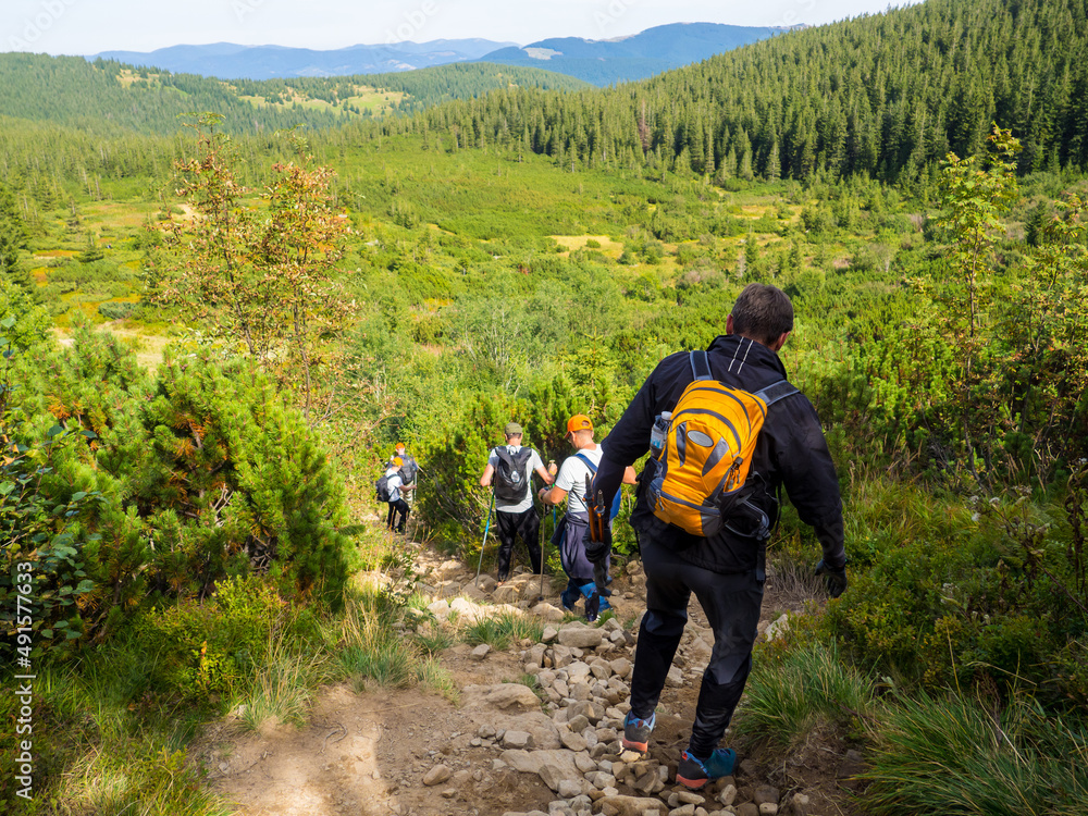 Men with backpacks and sticks tackling the steep and extremely rugged descent from top of the mountain of the Chornogora ridge. View near the highest Ukrainian Carpathian mount Hoverla Ukraine Men with backpacks and sticks tackling the steep and extremely rugged descent from top of the mountain of the Chornogora ridge. View near the highest Ukrainian Carpathian mount Hoverla Ukraine