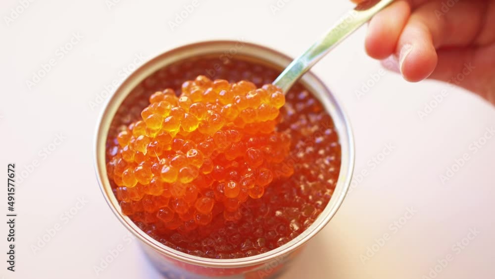 a spoonful of salted red caviar is taken out of the jar. delicacy. delicious canned fish. a traditional Russian snack for a festive banquet. a spoonful of salted red caviar is taken out of the jar. delicacy. delicious canned fish. a traditional Russian snack for a festive banquet.