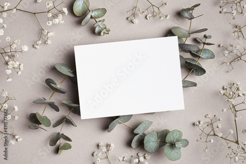 Invitation or greeting card mockup with eucalyptus and gypsophila flowers on paper background. © nikavera
