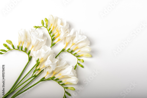 bouquet of white freesias on a white background