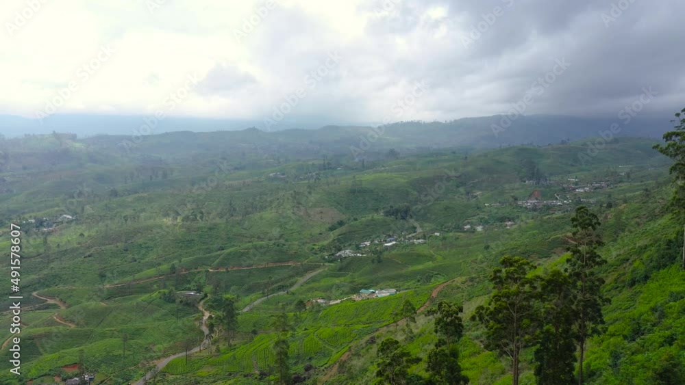 Tea plantations in Sri Lanka. Mountain landscape with tea estate.. Maskeliya. Tea plantations in Sri Lanka. Mountain landscape with tea estate.. Maskeliya.