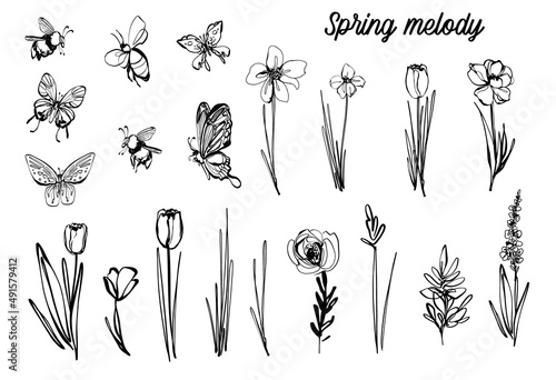 Black line meadow flowers, bugs, bee, butterfly, spring melody script. Vector Outline illustration. Nature flower plants. Monochrome tulip floral line art. Hand drawn simple garden logo #491579412