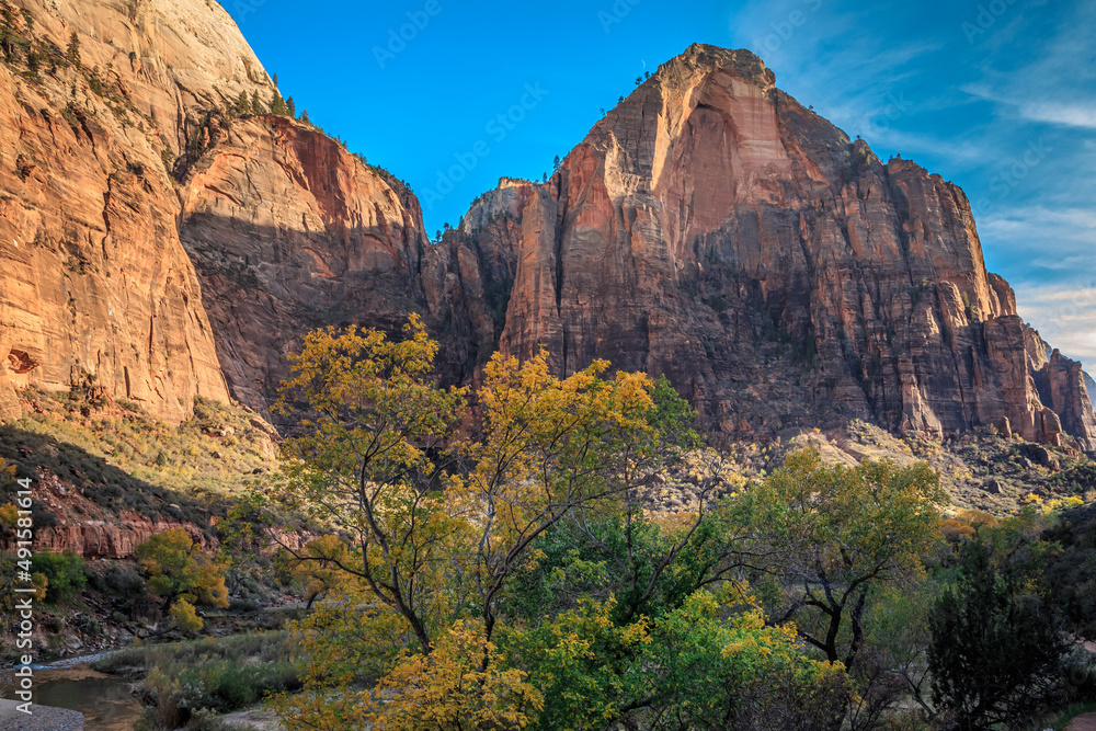 Fall Colors on the Cliffs of Zion, Zion National Park, Utah