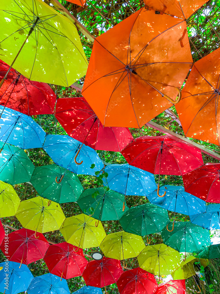 Umbrellas at The Miracle Garden in Dubai, UAE