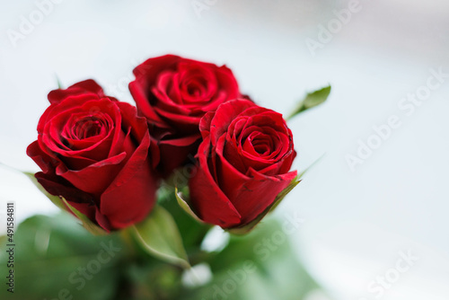 Fototapeta Naklejka Na Ścianę i Meble -  Bucket of red roses close up