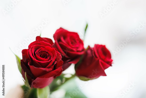 Bucket of red roses close up