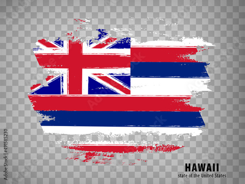 Flag of Hawaii State from brush strokes. United States of America.  Flag State of Hawaii with title on transparent background for your web site design, app, UI. USA. Vector illustration. EPS10.