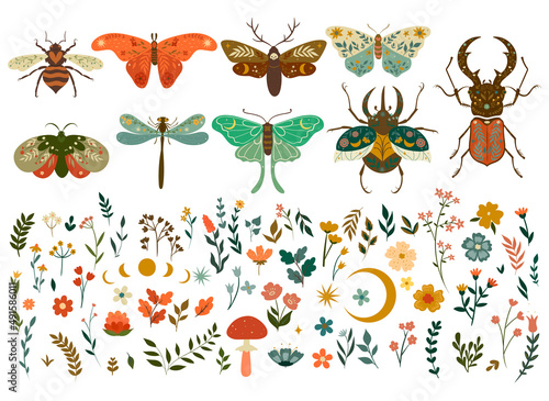 Insects and flora elements in boho style isolated on white background. Vector graphics.