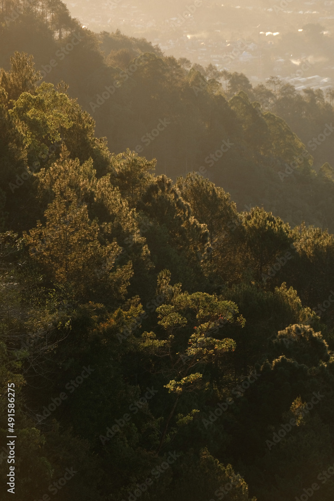 Autumn Golden Hours Autumn Golden Hours