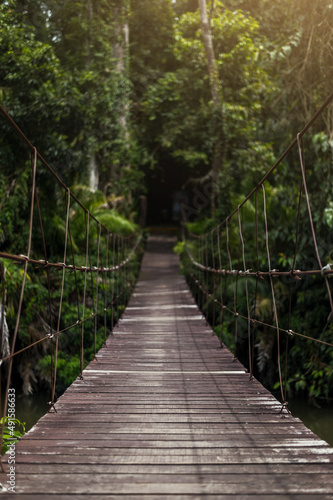 old wooden bridge in deep forest  natural vintage background